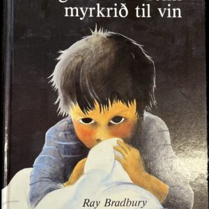 Drongurin, sum fekk myrkrið til vin - Image 1