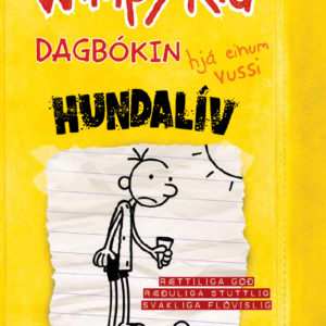 Wimpy kid: Dagbókin hjá einum vussi 4 - Image 1