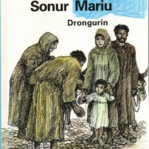 Sonur Mariu, drongurin - Image 1
