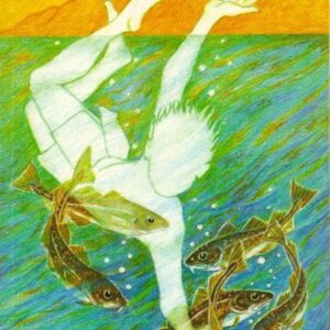 Svim fyri lívinum - Image 1