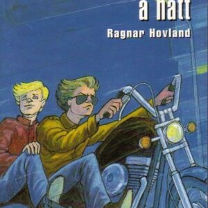 Á motorsúkklu á nátt - Image 1