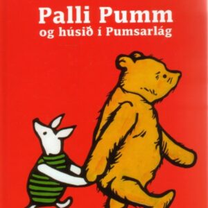 Palli Pumm og húsið í Pumsarlá - Image 1