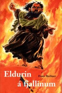 Eldurin á fjallinum - Image 1