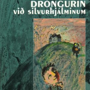 Drongurin við silvurhjálminum - Image 1