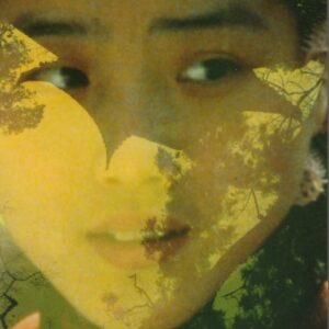 Hvítar blómur í Gulu ánni - Image 1