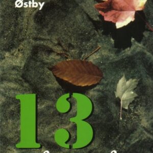 13 í longsli - Image 1