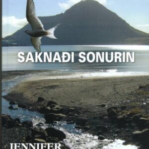 Saknaði sonurin - Image 1