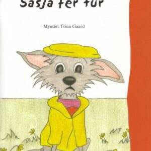 Sasja fer túr - Image 1