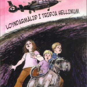 Loyndarmálið í triðja hellinum, Inb. - Image 1