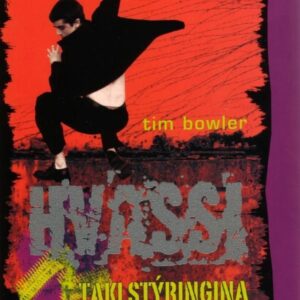 Hvassi 6 - Taki stýringina - Image 1