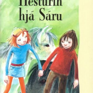 Hesturin hjá Sáru - Image 1