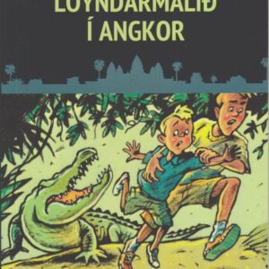 Loyndarmálið í Angkor, BFL - Image 1