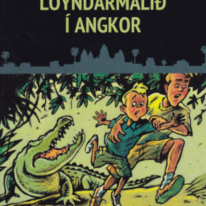 Loyndarmálið í Angkor KRB - Image 1