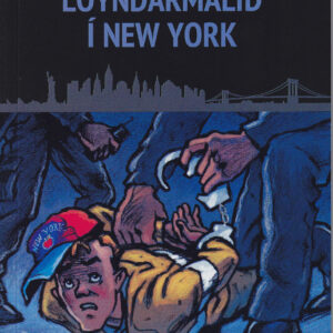 Loyndarmálið í New York, KRB - Image 1