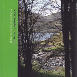 Viðarlundir í Føroyum (50) - Image 1