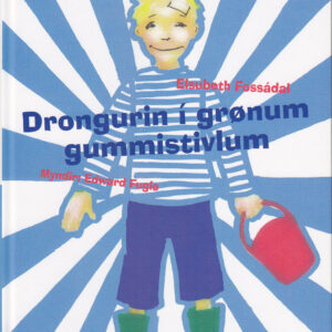 Drongurin í grønum gummist. - Image 1