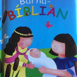 Lítla barnabíblian (24) - Image 1