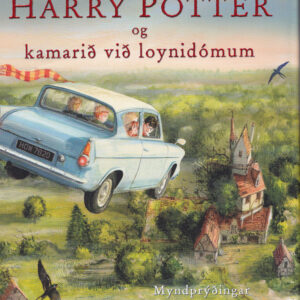 Harry Potter 2 við myndum (10) - Image 1