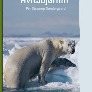 Hvítabjørnin - Image 1