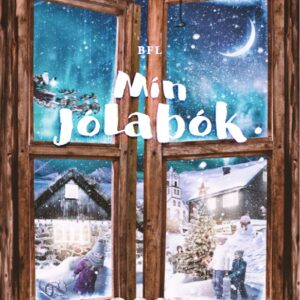 Mín jólabók 2017 (21) - Image 1