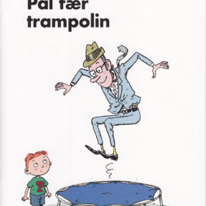 Pál fær trampolin - Image 1