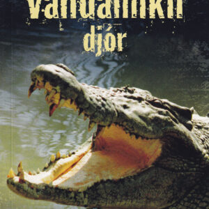 Vandamikil djór - Image 1