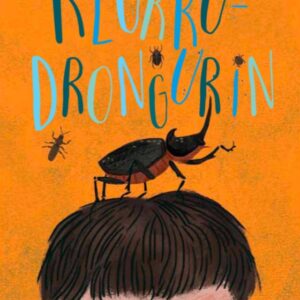 Klukkudrongurin (30) - Image 1