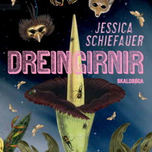 Dreingirnir (42) - Image 1