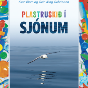 Plastruskið í sjónum (19) - Image 1