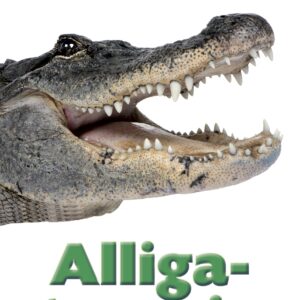 Stór rovdjór - Alligatorurin - Image 1