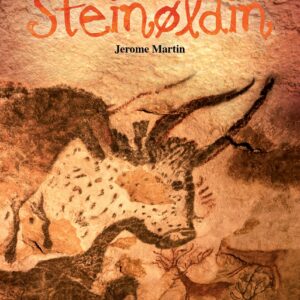 Steinøldin - Image 1