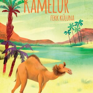 Hvussu kamelur fekk kúluna - Image 1