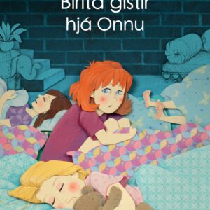 Birita gistir hjá Onnu - Image 1