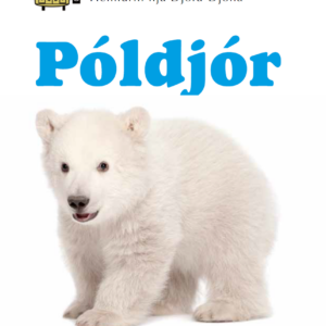 Póldjór - Heimurin hjá Djóra-Djóna - Image 1