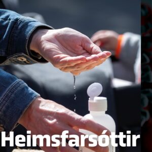 Heimsfarsóttir - Image 1