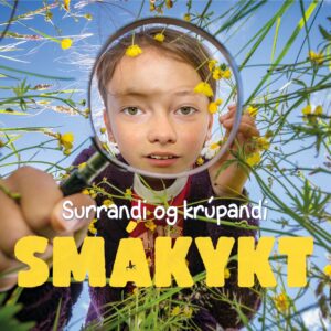 Surrandi og krúpandi SMÁKYKT - Image 1