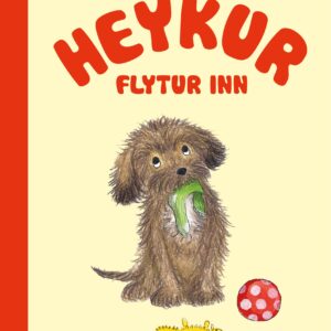 Heykur flytur inn - Image 1