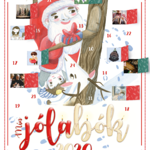 Mín jólabók 2020 (20) - Image 1