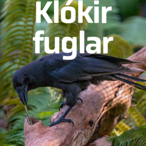 Klókir fuglar - Image 1