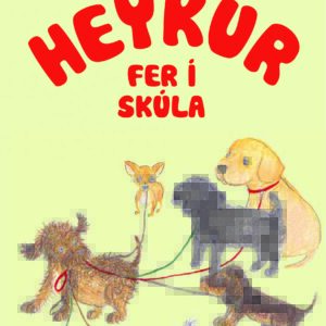 Heykur fer í skúla - Image 1