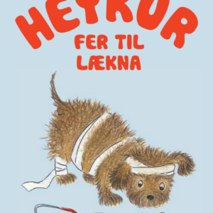Heykur fer til lækna - Image 1