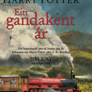 Harry Potter. Eitt gandakent ár (12) - Image 1