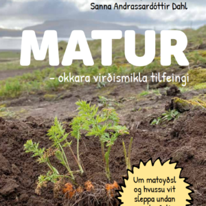 Matur - okkara virðismikla tilfeingi - Image 1