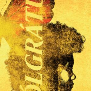 Sólgrátur (35) - Image 1