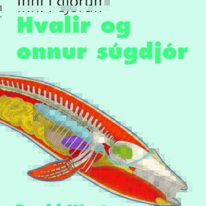 Inni í djórum - Hvalir og onnur súgdjór - Image 1