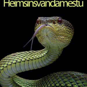 Heimsins vandamestu - Image 1