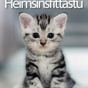 Heimsins fittastu - Image 1