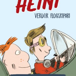Heini verður flogskipari - Image 1