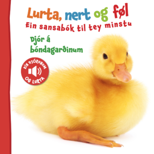 Djór á bóndagarðinum (24) - Image 1